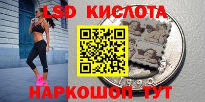 гидропоника Пушкино