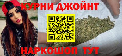 сатива Рыбинск