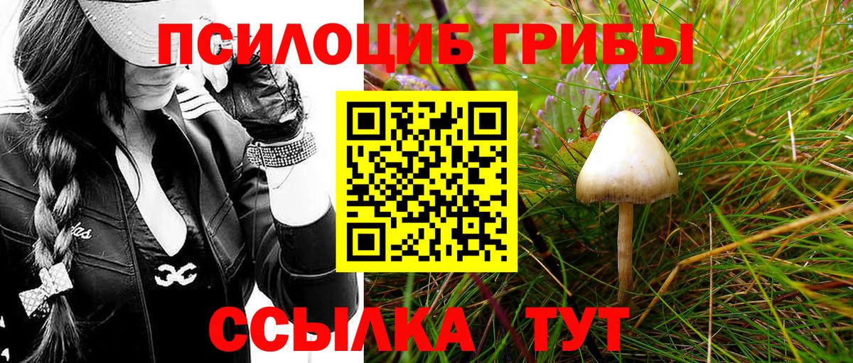 Галлюциногенные грибы MAGIC MUSHROOMS Щёлково