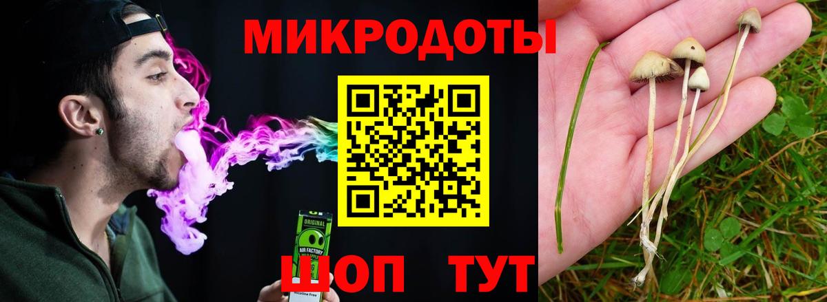 Галлюциногенные грибы Cubensis  Вход с VPN  Галлюциногенные грибы GOLDEN TEACHER  Щёлково 